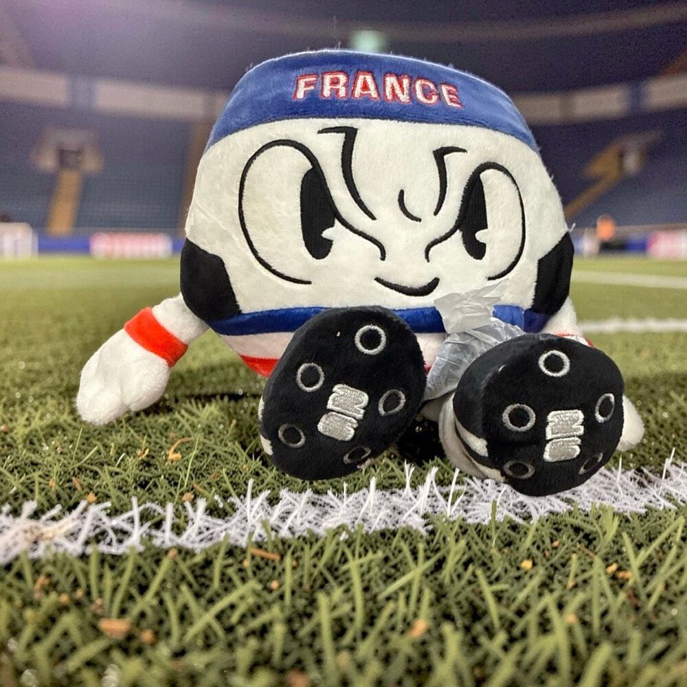 NWT Jazwares 2026 FIFA World Cup Team France Plush Soccer Ball 9”